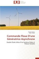 Commande Floue D Une G n ratrice Asynchrone