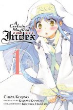 Certain Magical Index, Vol. 1 (manga)