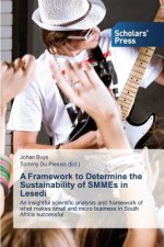 Framework to Determine the Sustainability of SMMEs in Lesedi