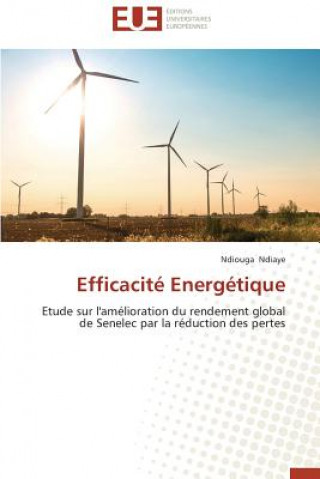 Efficacit  Energ tique