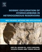 Seismic Exploration of Hydrocarbons in Heterogeneous Reservoirs