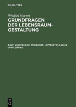 Raum Und Mensch, Prognose, Offene Planung Und Leitbild