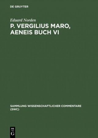 P. Vergilius Maro, Aeneis Buch VI