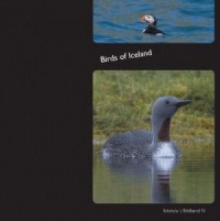 Birds of Iceland (fotolulu)()