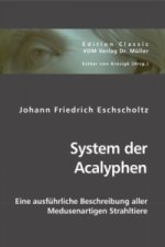 System der Acalyphen