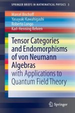 Tensor Categories and Endomorphisms of von Neumann Algebras