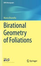 Birational Geometry of Foliations