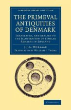 Primeval Antiquities of Denmark