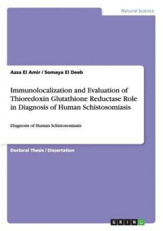 Immunolocalization and Evaluation of Thioredoxin Glutathione Reductase Role in Diagnosis of Human Schistosomiasis