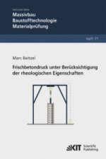 Frischbetondruck unter Berücksichtigung der rheologischen Eigenschaften