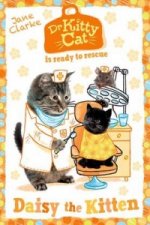 Dr KittyCat is ready to rescue: Daisy the Kitten
