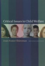 Critical Issues in Child Welfare