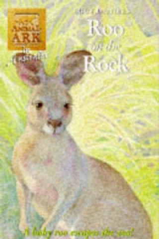 Roo on a Rock