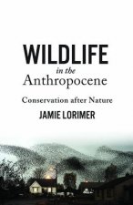 Wildlife in the Anthropocene