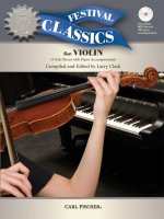 VIOLIN