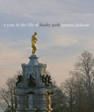 Year in the Life of Bushy Park