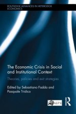 Economic Crisis in Social and Institutional Context