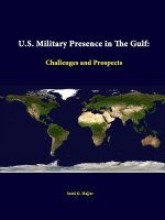 U.S. Military Presence in the Gulf: Challenges and Prospects