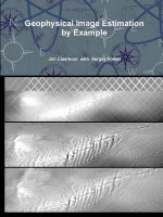 Geophysical Image Estimation by Example