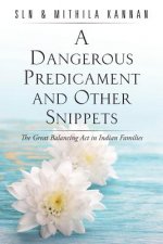 Dangerous Predicament and Other Snippets