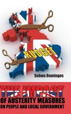 Impact of Austerity Measures on People and Local Government