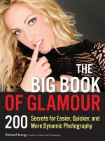 Big Book Of Glamour