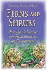 Ferns & Shrubs