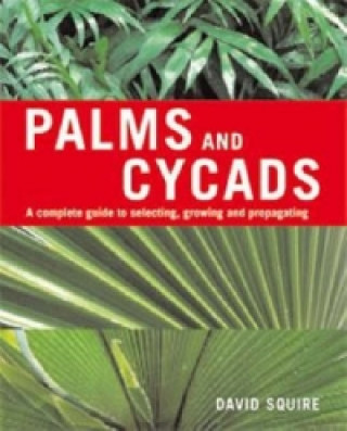 Palms and Cycads