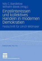 Einzelinteressen Und Kollektives Handeln in Modernen Demokratien