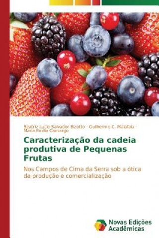 Caracterizacao da cadeia produtiva de Pequenas Frutas