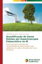 Quantificacao de Gases Estufas por Espectroscopia Fotoacustica no IR
