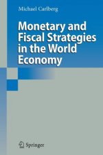 Monetary and Fiscal Strategies in the World Economy