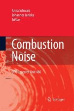 Combustion Noise