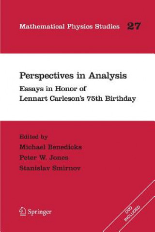 Perspectives in Analysis