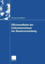 Effizienzeffekte Der Einkommensteuer Bei Steuervermeidung