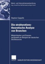 Die Strukturationstheoretische Analyse Von Branchen