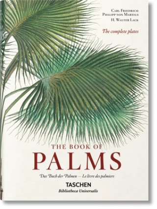 von Martius. The Book of Palms