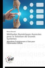 Methodes Numeriques Avancees Pour La Solution de Grands Systemes