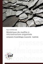 Materiaux de Mullite A Microstructure Organisee