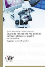 Etude de l'Oncogene Kit Dans Les Tumeurs Stromales Gastro-Intestinales