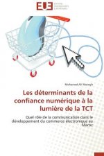 Les D terminants de la Confiance Num rique   La Lumi re de la Tct