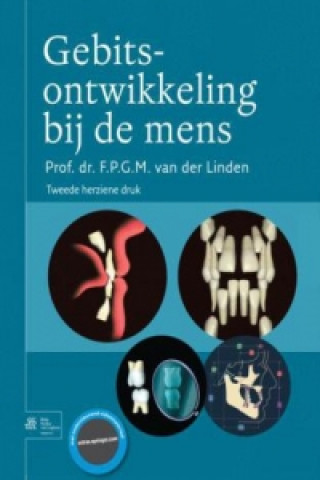 Gebitsontwikkeling bij de mens