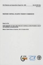 Report of the first Meeting on CFMC/WECAFC/OSPESCA/CRFM Working Group on Spawning Aggregations