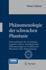 Phanomenologie der Schwachen Phantasie