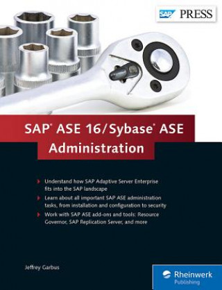 SAP ASE 16 / Sybase ASE Administration