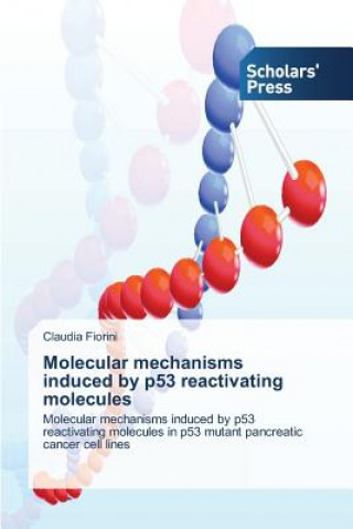 Molecular mechanisms induced by p53 reactivating molecules