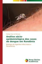 Analise socio-epidemiologica dos casos de dengue em Rondonia