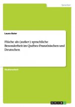 Flüche als (außer-) sprachliche Besonderheit im Québec-Französischen und Deutschen