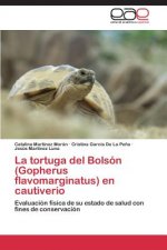 tortuga del Bolson (Gopherus flavomarginatus) en cautiverio
