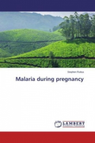 Malaria during pregnancy